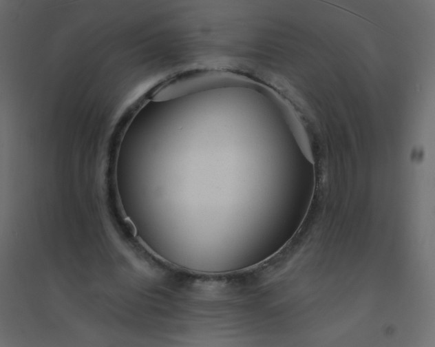 X0000094940440200712131603