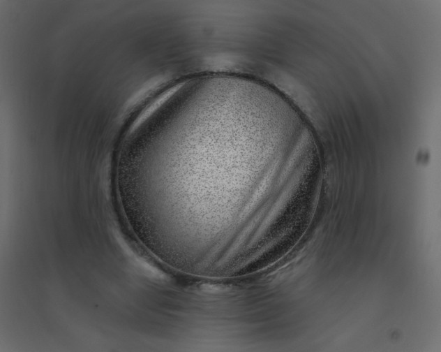 X0000094940442200712131603