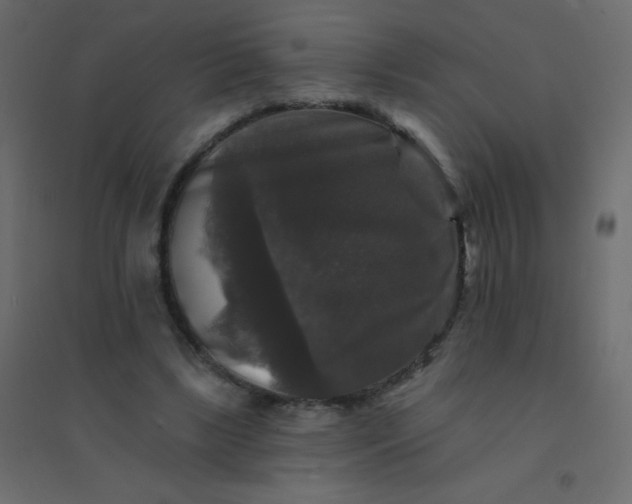 X0000094940443200712131603