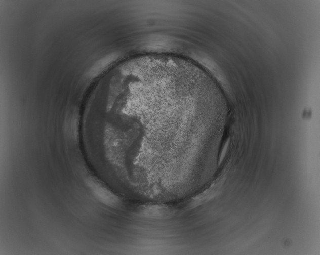 X0000094940446200712131603