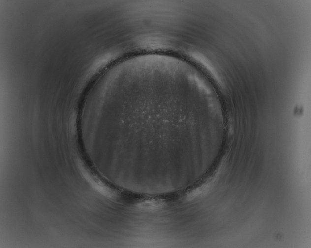 X0000094940447200712131603