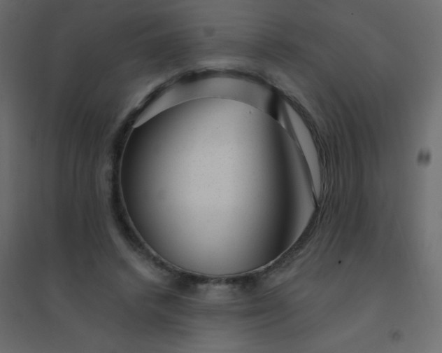 X0000094940448200712131603