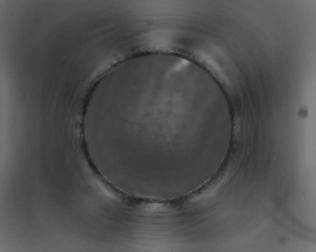 X0000094940449200712131603