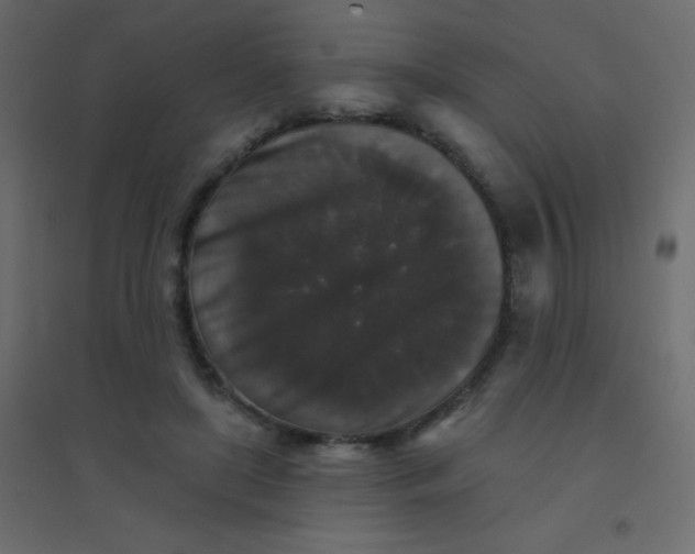 X0000094940451200712131603