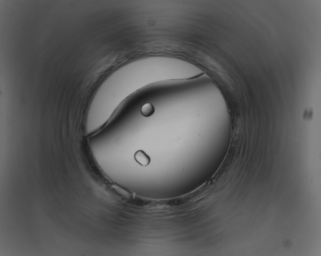 X0000094940452200712131604