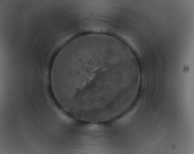 X0000094940453200712131604