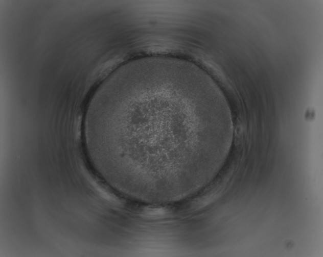 X0000094940454200712131604