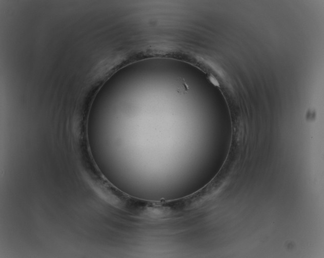 X0000094940455200712131604