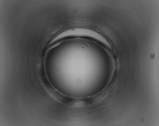 X0000094940456200712131604