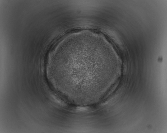 X0000094940457200712131604