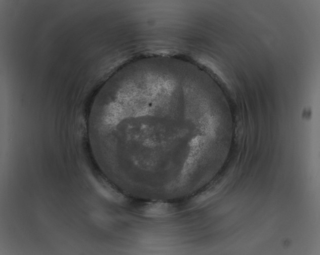 X0000094940459200712131604