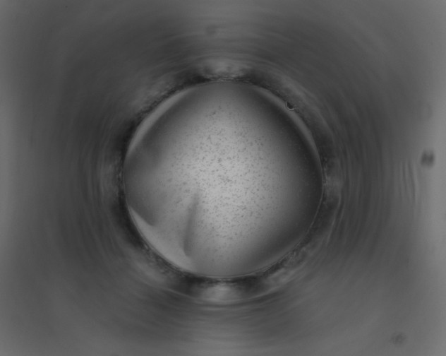 X0000094940460200712131604