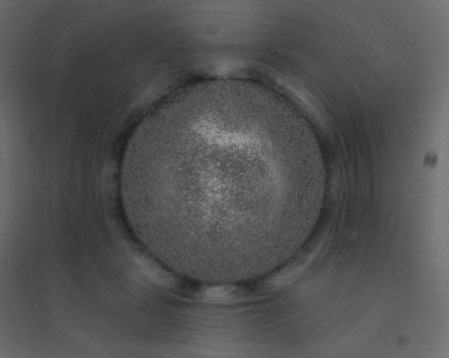 X0000094940461200712131604