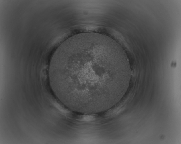 X0000094940462200712131604