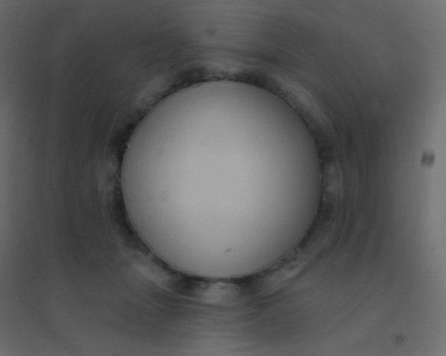 X0000094940463200712131604