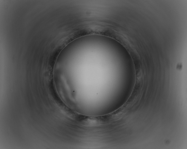 X0000094940464200712131604