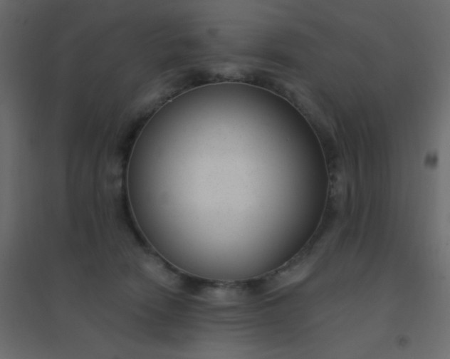 X0000094940466200712131604