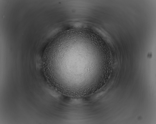 X0000094940469200712131604