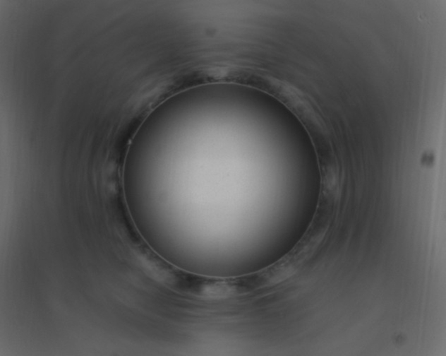 X0000094940470200712131604