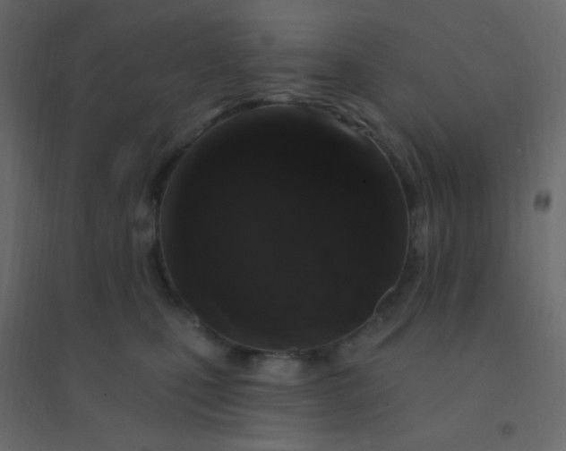 X0000094940471200712131604