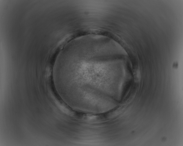 X0000094940472200712131604