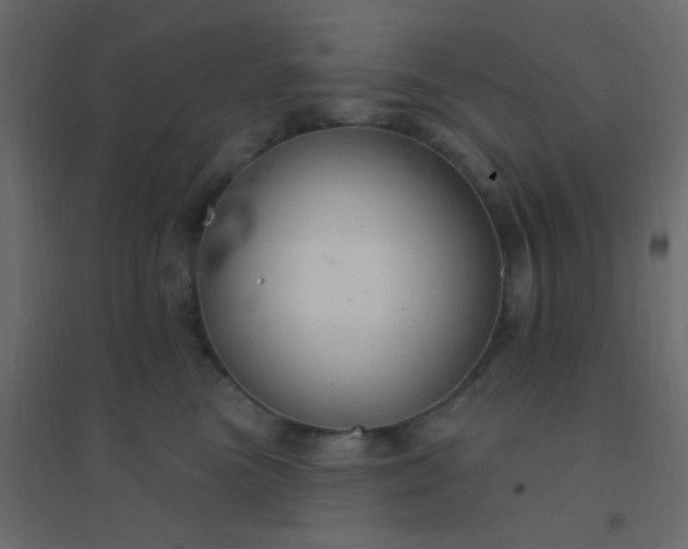 X0000094940473200712131604