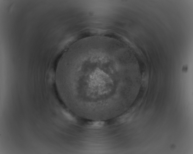 X0000094940474200712131604