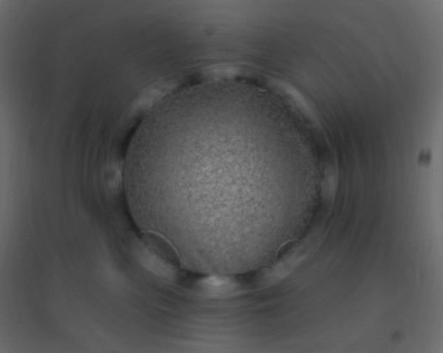 X0000094940477200712131604