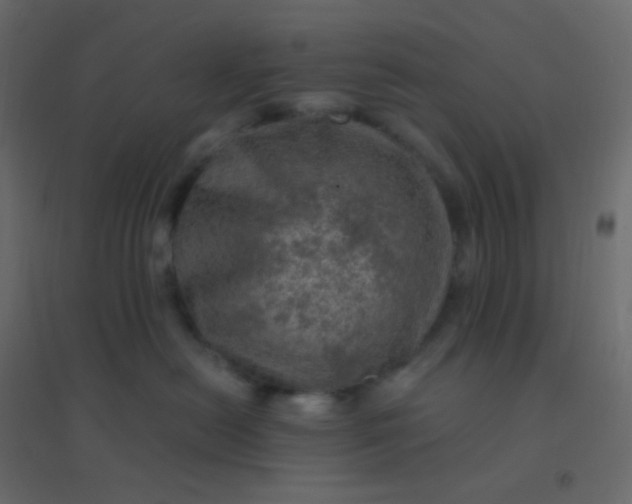 X0000094940478200712131604