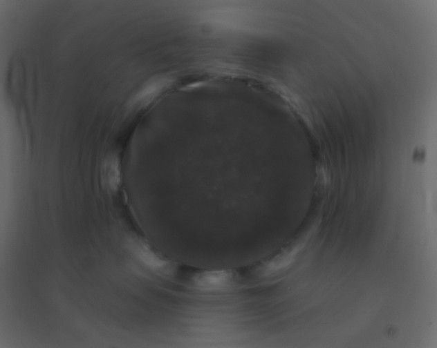 X0000094940479200712131604