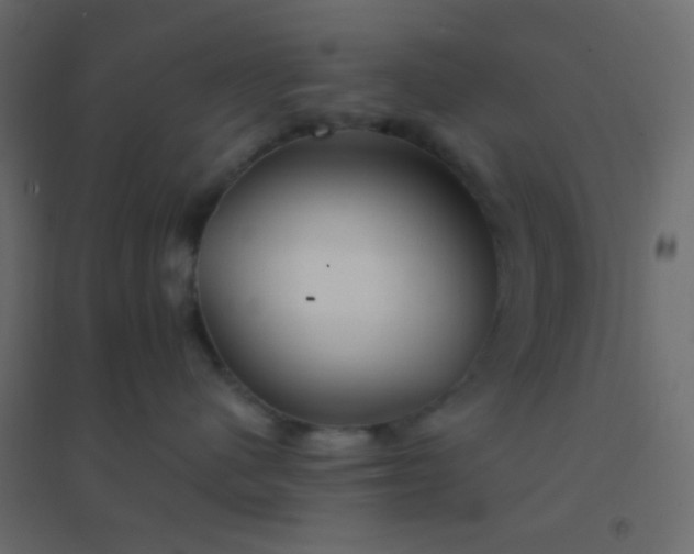 X0000094940480200712131604