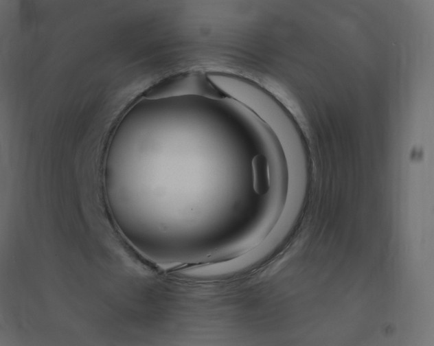 X0000094940481200712131603