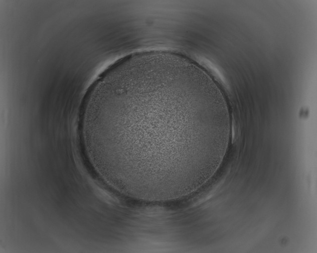 X0000094940483200712131603