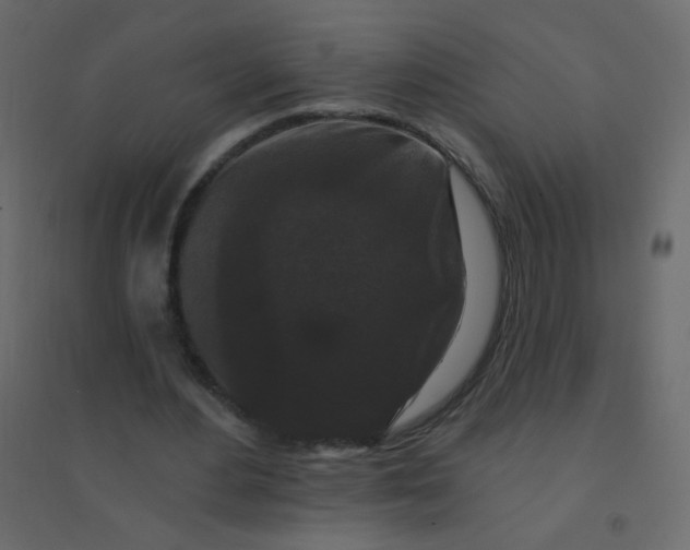 X0000094940484200712131603