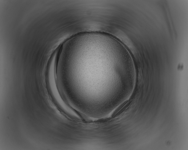 X0000094940485200712131603