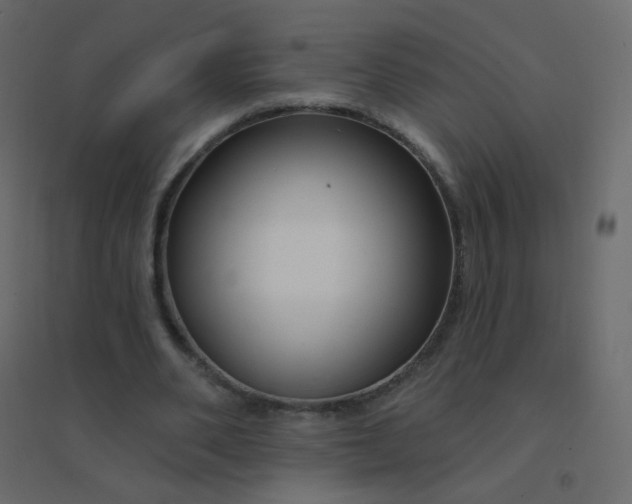 X0000094940486200712131603