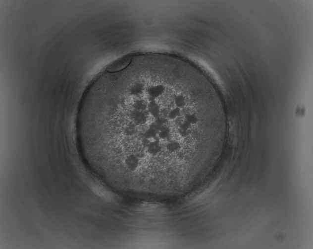 X0000094940487200712131603