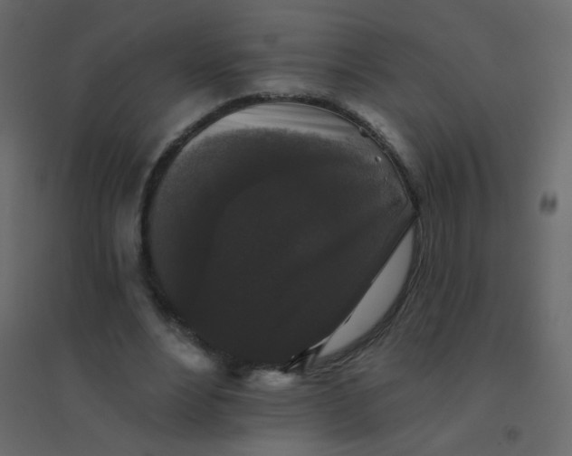 X0000094940488200712131603