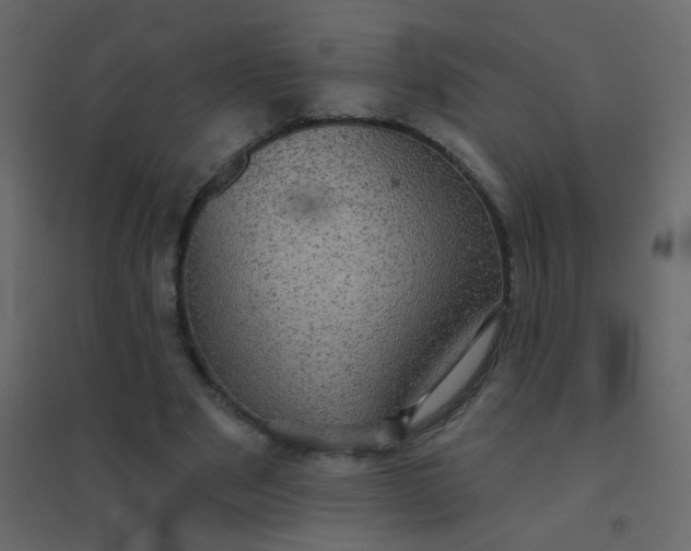 X0000094940489200712131603