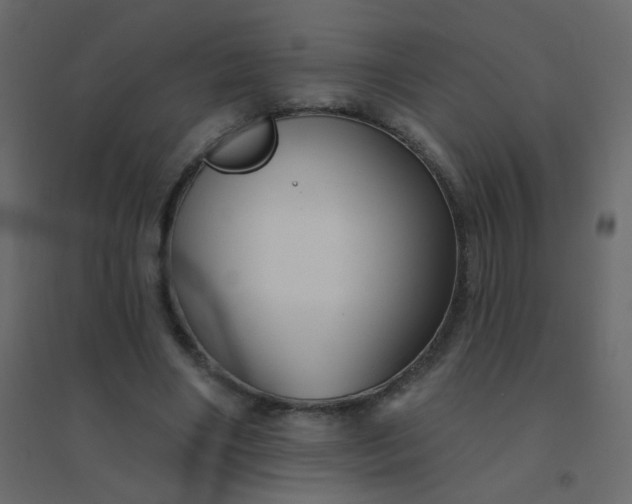 X0000094940490200712131603