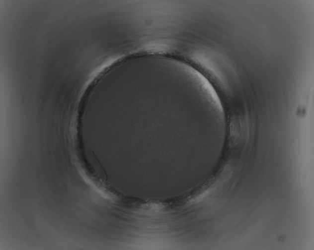 X0000094940492200712131603