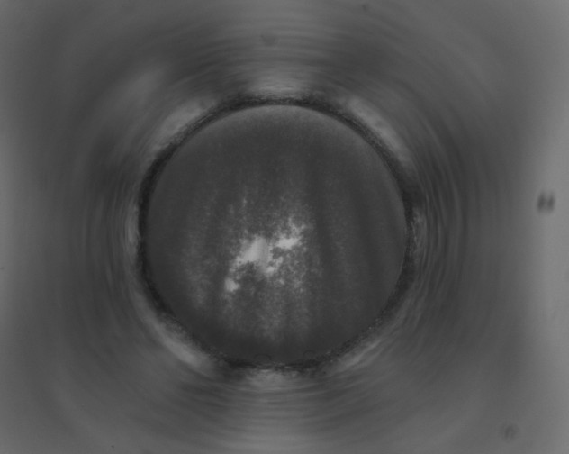 X0000094940494200712131603