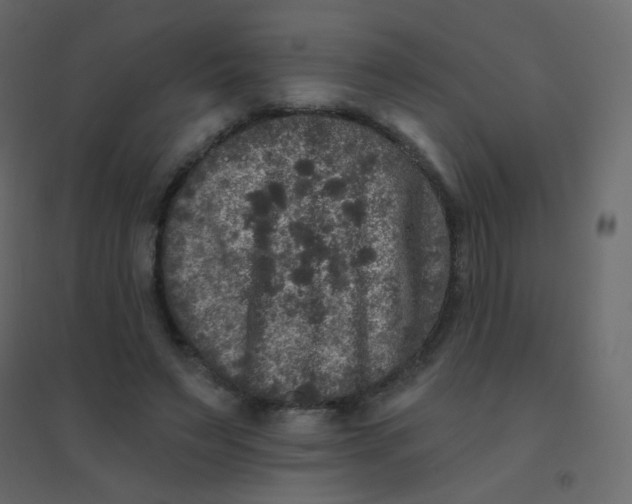 X0000094940495200712131603