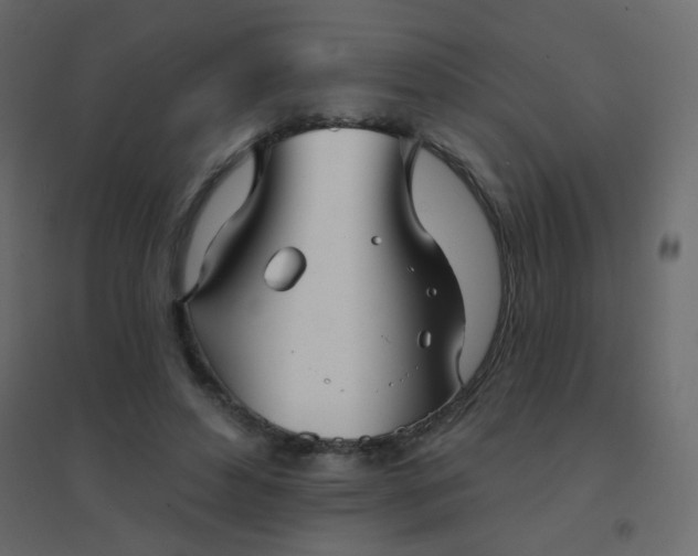 X0000094940496200712131603