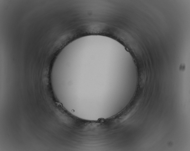 X0000094940497200712131603