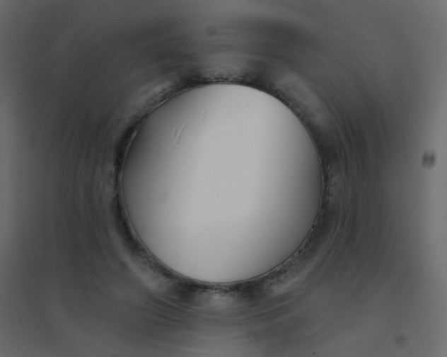 X0000094940498200712131603