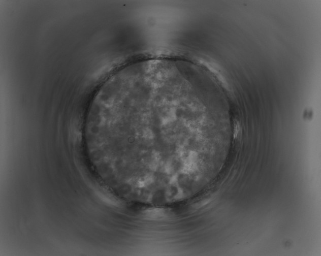 X0000094940499200712131603