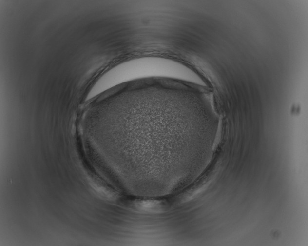 X0000094940501200712131603