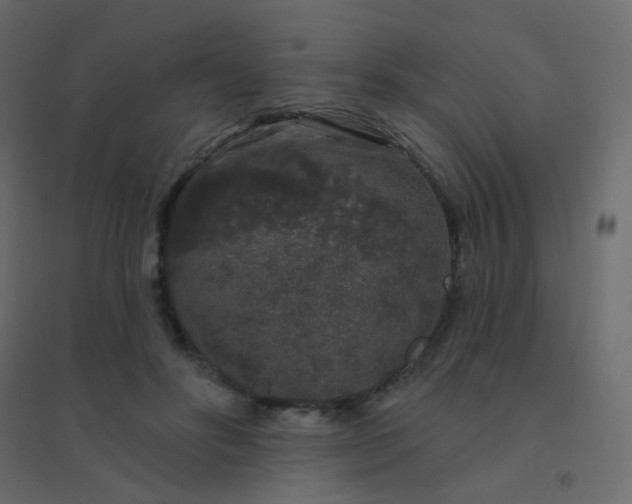 X0000094940502200712131603