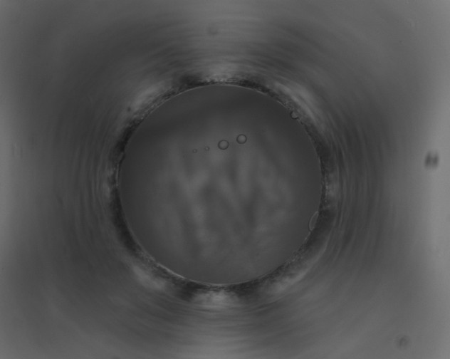 X0000094940503200712131603